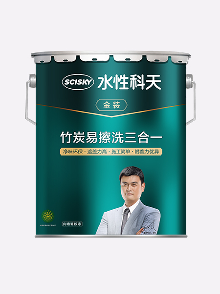 金装竹炭易擦洗三合一